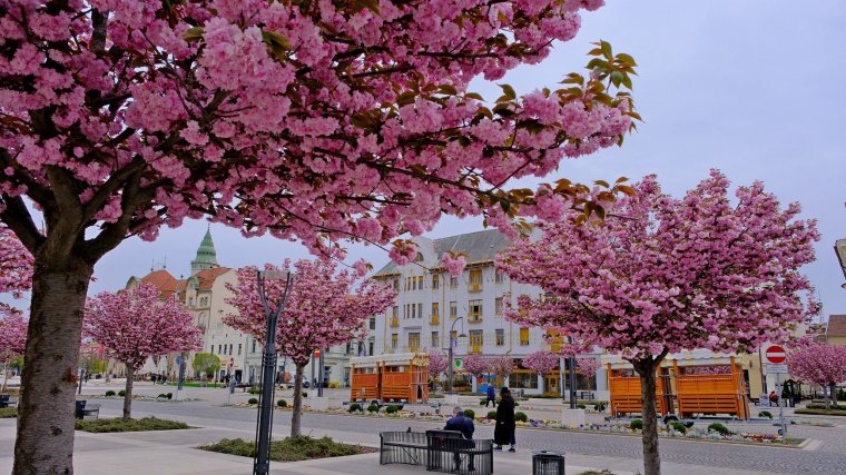Változékony idő várható a következő két hétben, csapadék szinte mindvégig előfordulhat