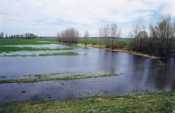 Elsőfokú árvízvédelmi készültséget rendeltek el a hidrológusok tíz folyóra