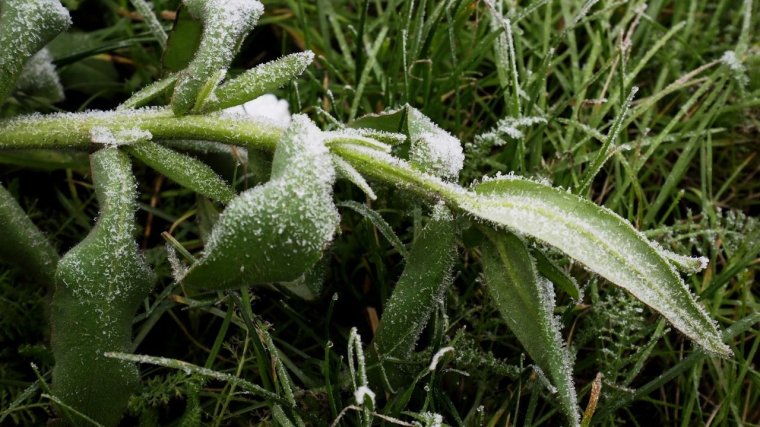Lehűlésre, szélre figyelmeztetnek a meteorológusok