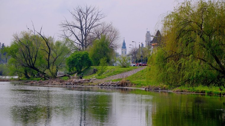 Nem mindenkinek tetszik, hogy megszámolják a nagyváradi fákat