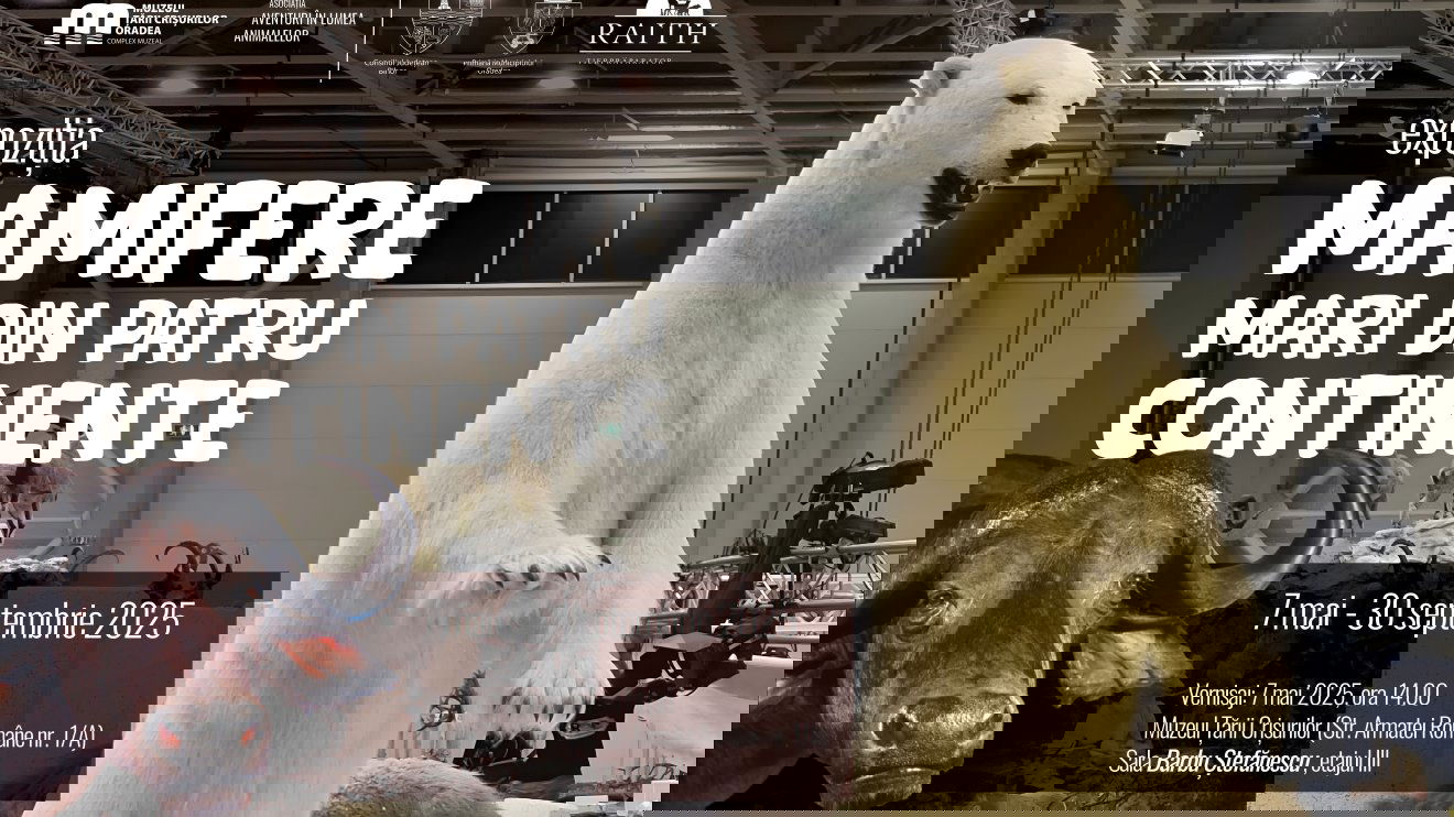 Állatpreparátumok a múzeumban