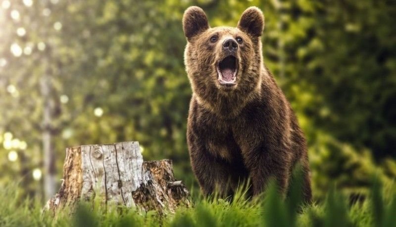 Tánczos: Remélem, hogy a környezetvédelmi minisztérium végre meghozza a szükséges intézkedéseket