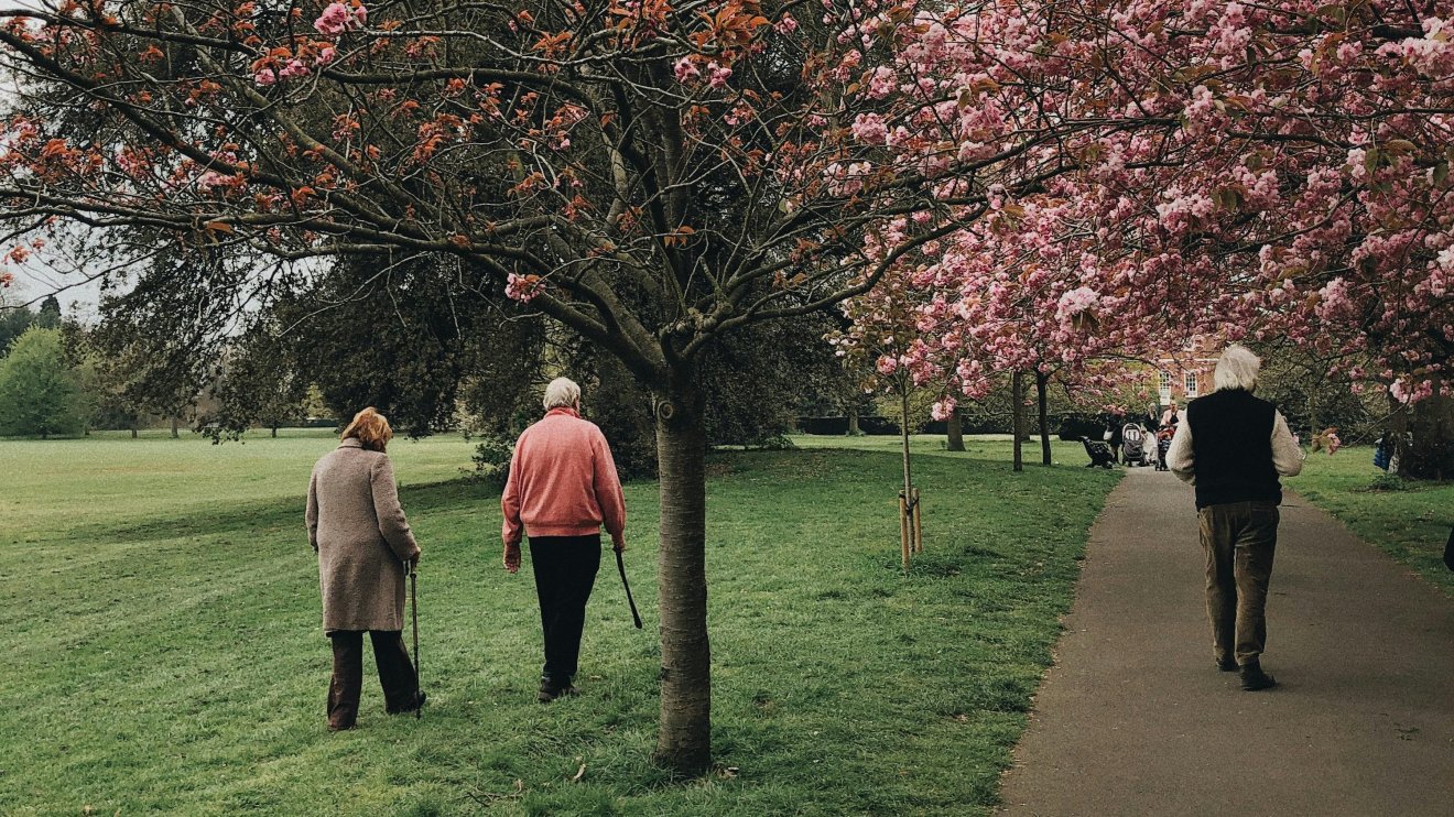 Sétáljunk mindennap az egészségünkért!