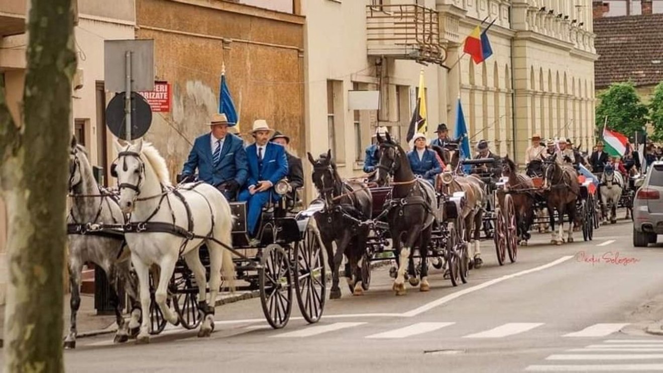 Lovasfogatok felvonulása Nagyváradon
