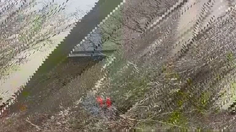 FRISSÍTVE| A Dunába zuhant egy kisbusz Mehedinți megyében