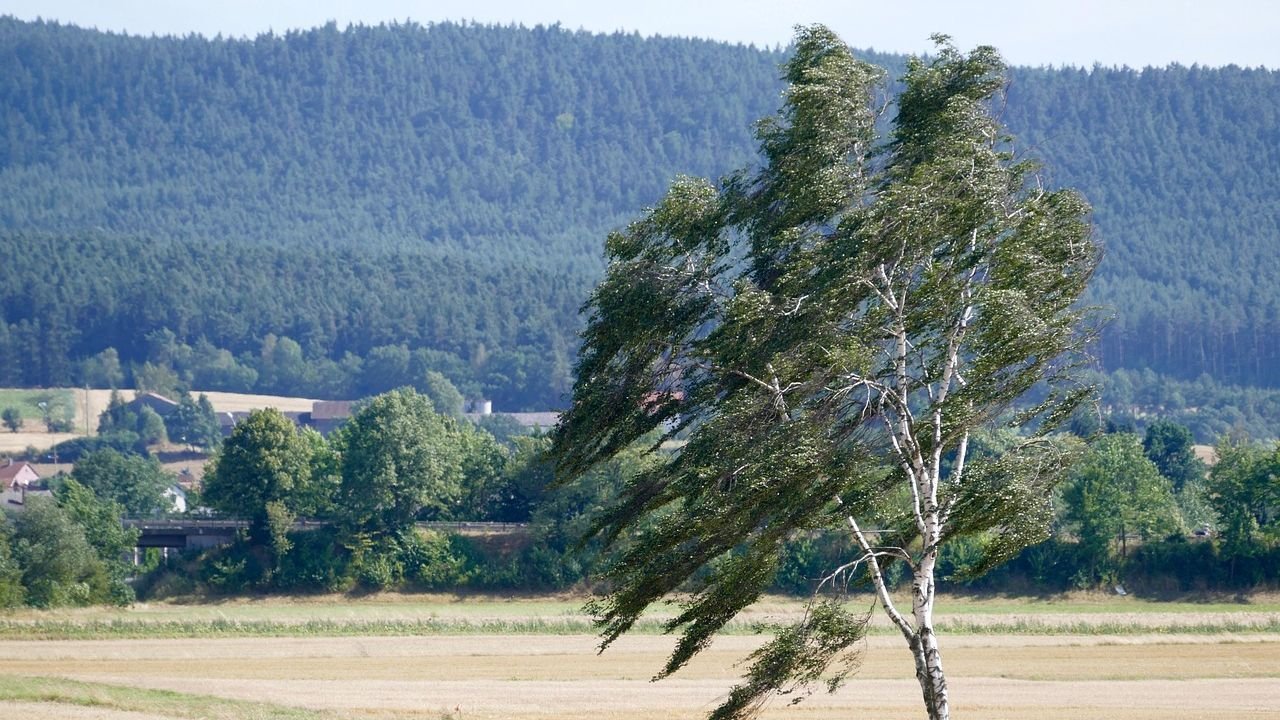 Felerősödő szélre és viharos időjárásra figyelmeztetnek a meteorológusok