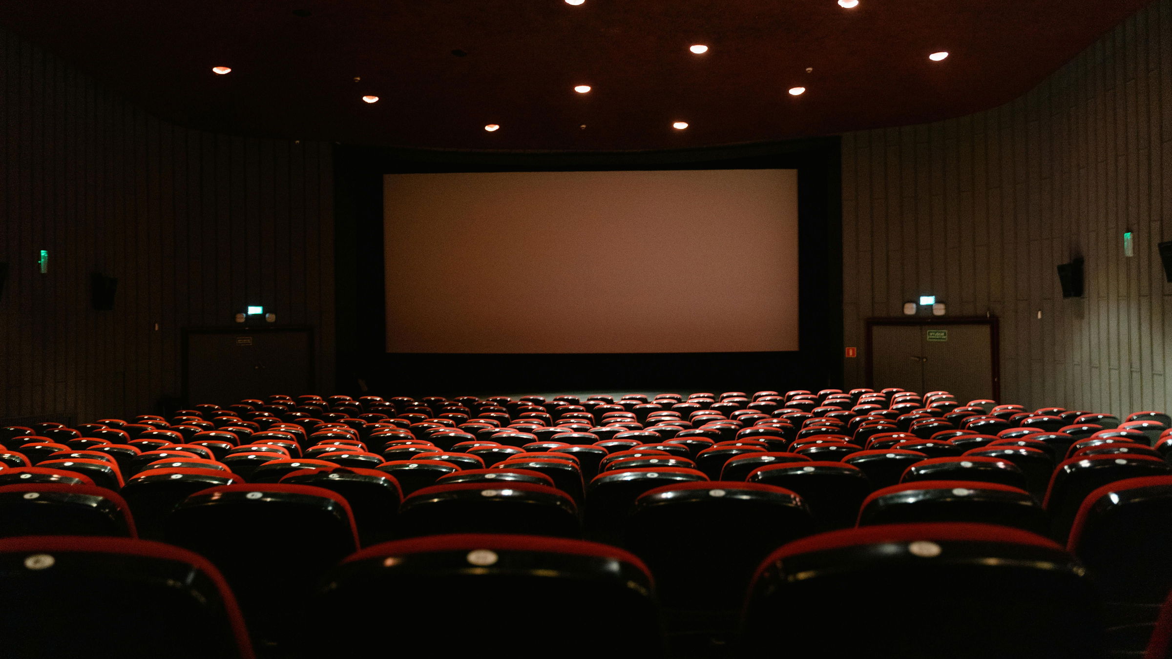 Rekordot döntöttek 2024-ben a magyar filmek a romániai mozikban