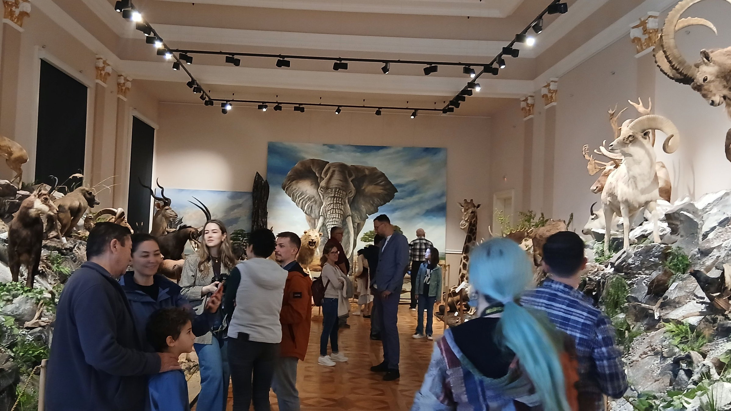 Tárlatmegnyitó: Nagy emlősök négy kontinensről - Galéria és videó