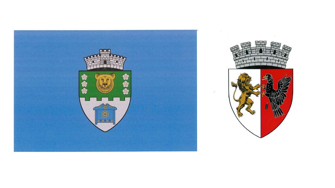 Hivatalossá nyilvánították Nagyszalonta címerét