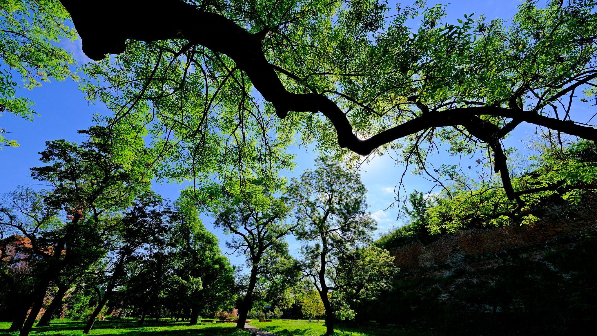 Időjárás: szokatlan hideg lesz az ország nagy részében csütörtökig