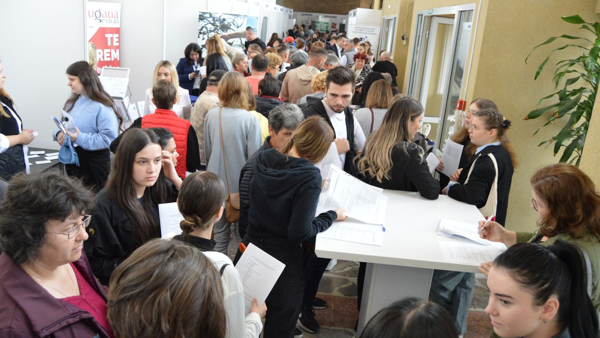 Állásbörzét szerveznek Nagyváradon