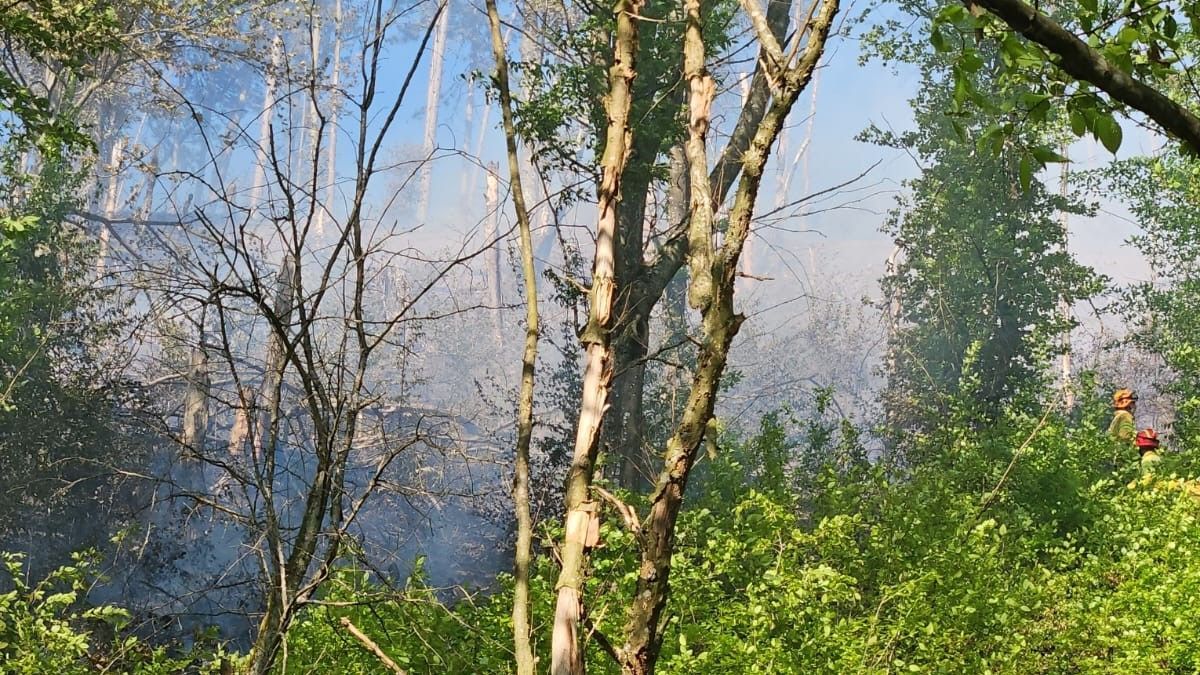 Tűzesetek és balesetek miatt érkezett a legtöbb riasztás a katasztrófavédelmisekhez