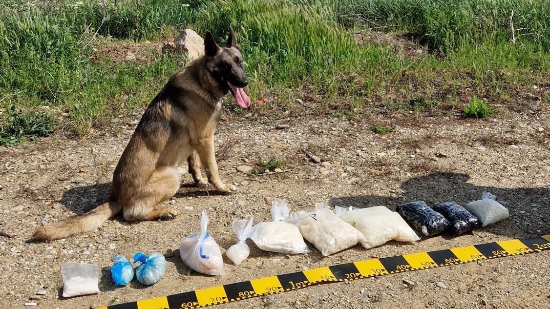 Hatalmas mennyiségű drogot foglaltak le a rendőrök