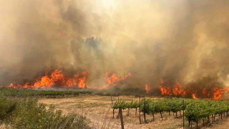 Ciolacu: Teljes mértékben szolidárisak vagyunk Izrael népével