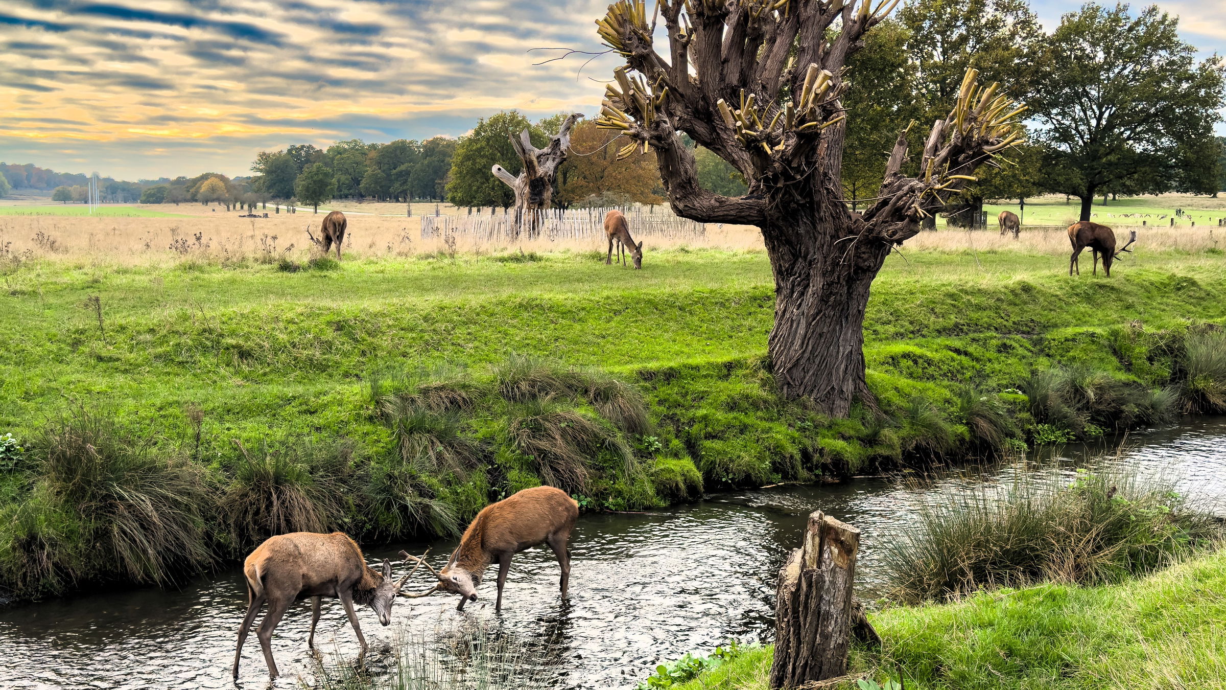 Kárpát-medencei fotósok munkáiból nyílik kiállítás Nagyváradon