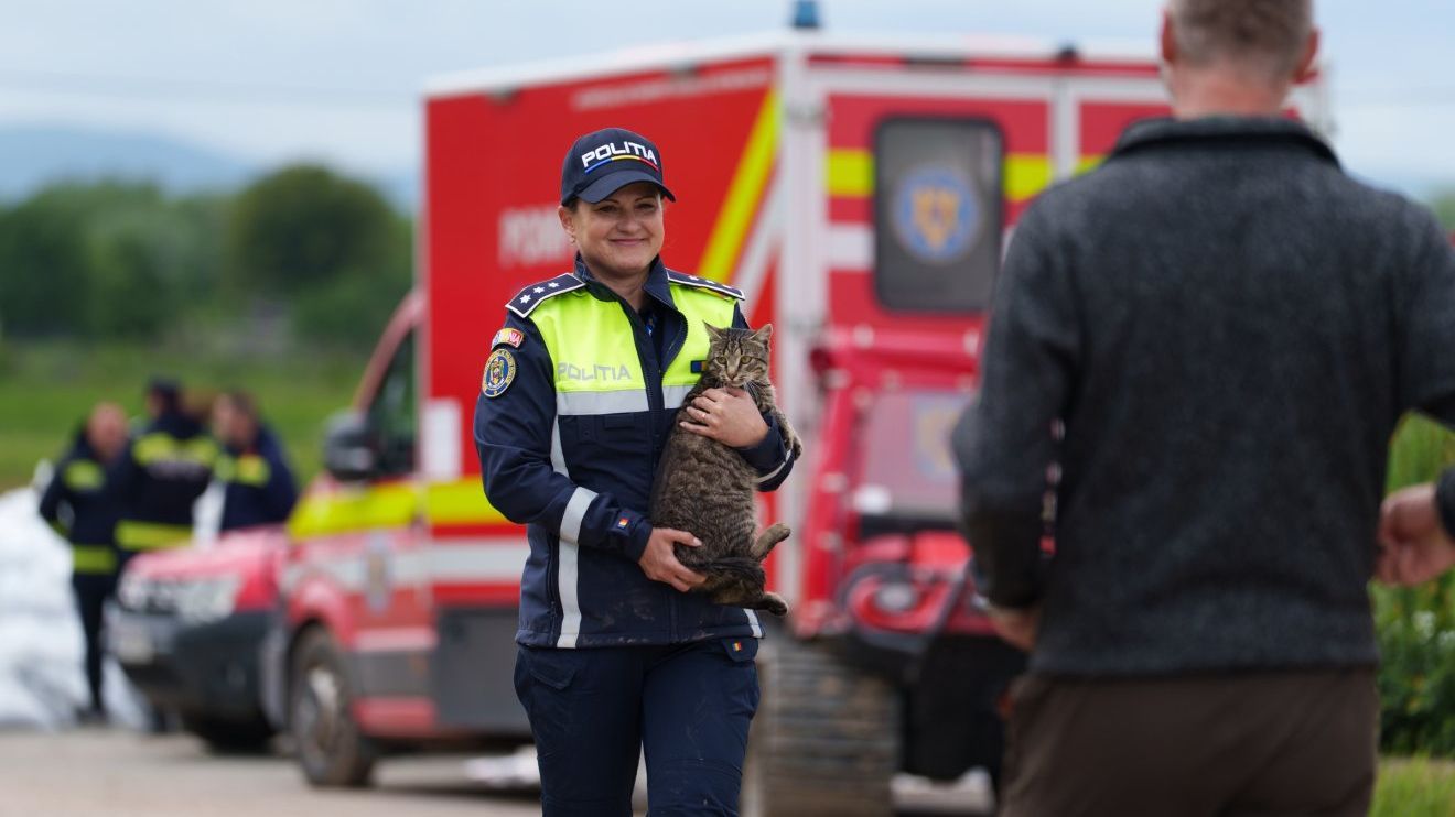 Az állatokat sem hagyják hátra a Kovászna megyei áradásban
