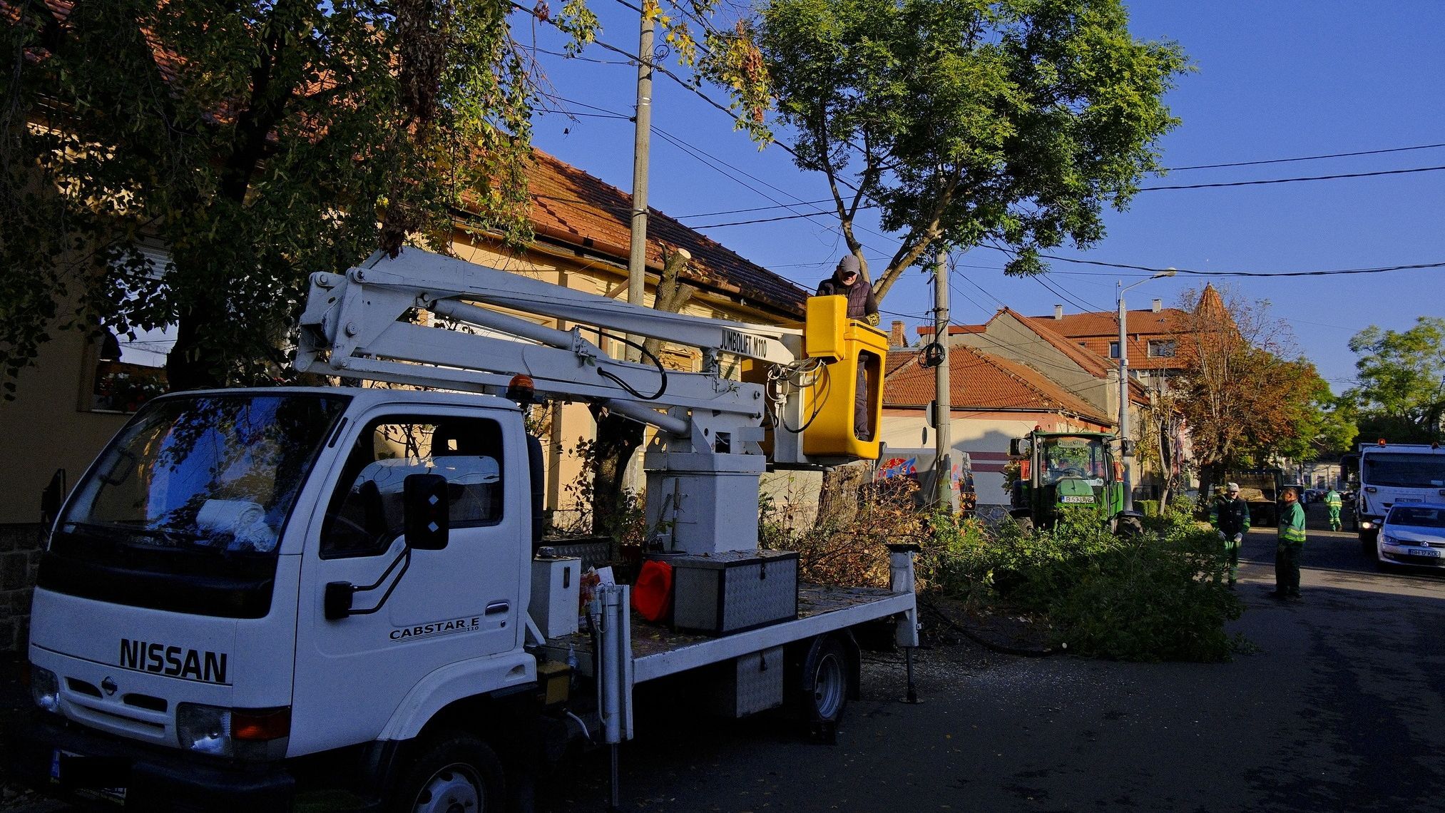 Folytatódik a fák metszése és kivágása Nagyváradon