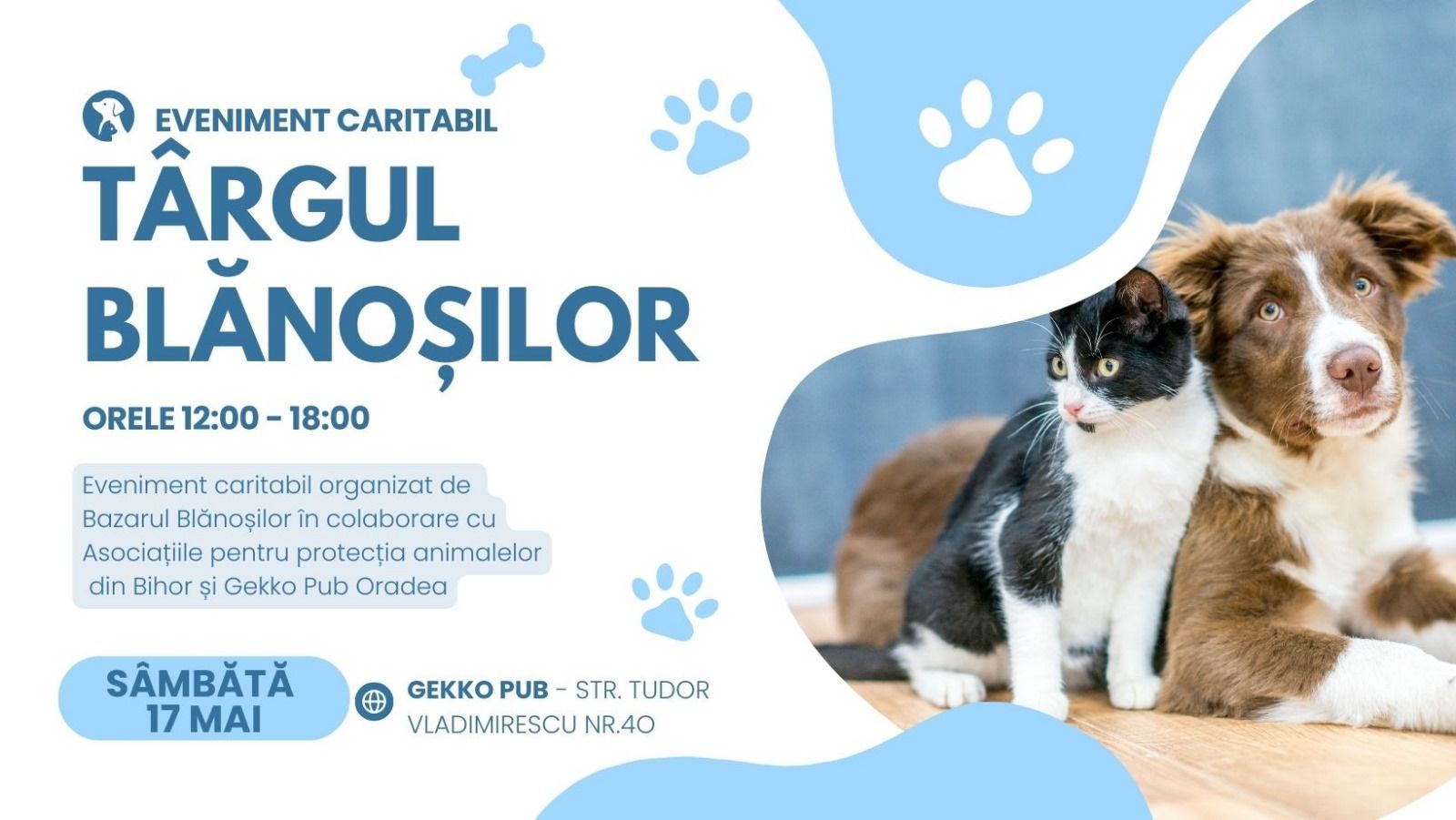 Jótékonysági vásár a gazdátlan négylábúak javára