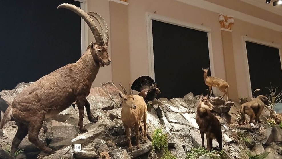 Múzeumpedagógiai foglalkozások gyermekeknek