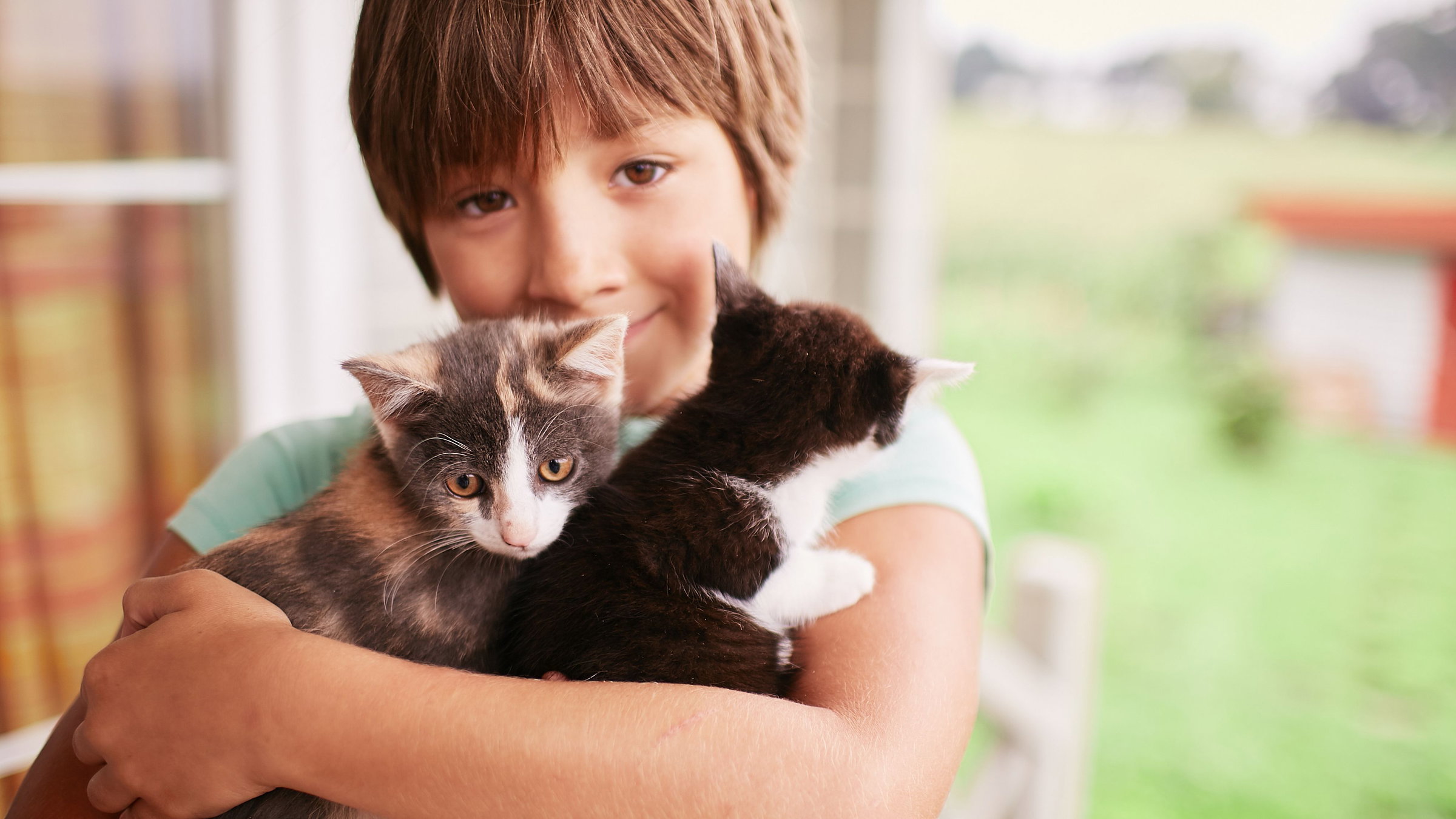 Állatokról szóló választható tantárgy bevezetését tervezik Romániában