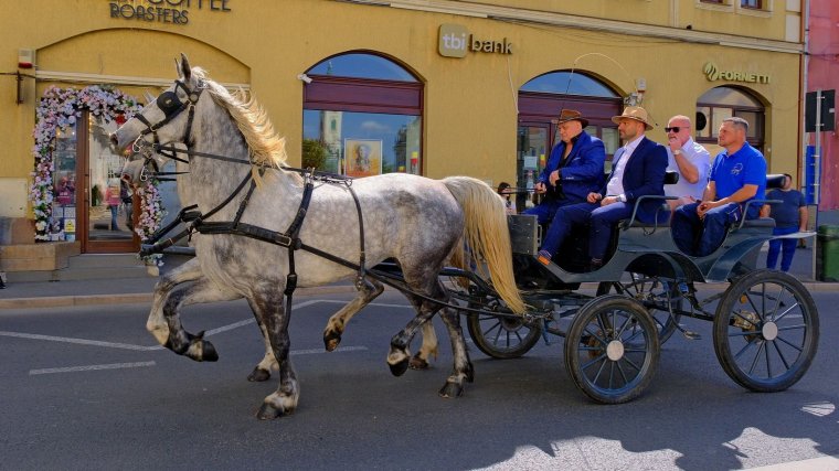 Programokban gazdag május Nagyváradon