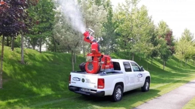 Rovarirtási akció lesz májusban Nagyváradon