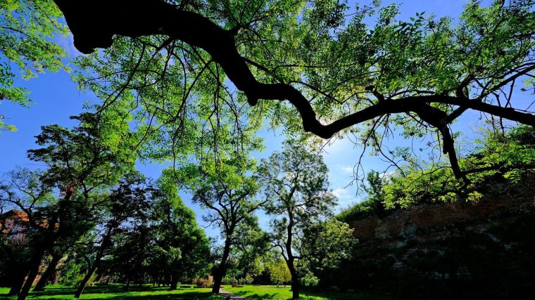 Időjárás: szokatlan hideg lesz az ország nagy részében csütörtökig