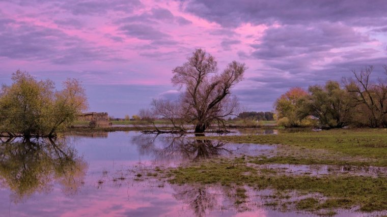Elsőfokú árvízvédelmi készültséget rendeltek el a hidrológusok négy megyében