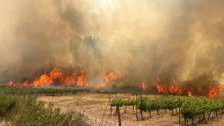 Ciolacu: Teljes mértékben szolidárisak vagyunk Izrael népével
