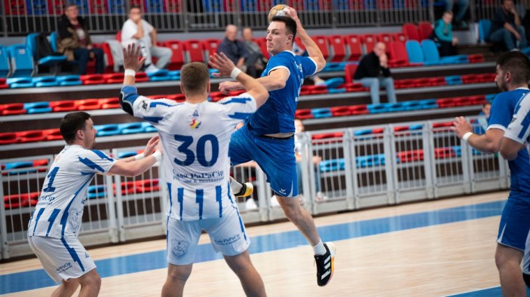 Hazai zakó az Alexandriával szemben