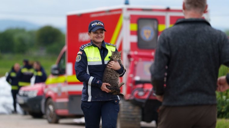 Az állatokat sem hagyják hátra a Kovászna megyei áradásban