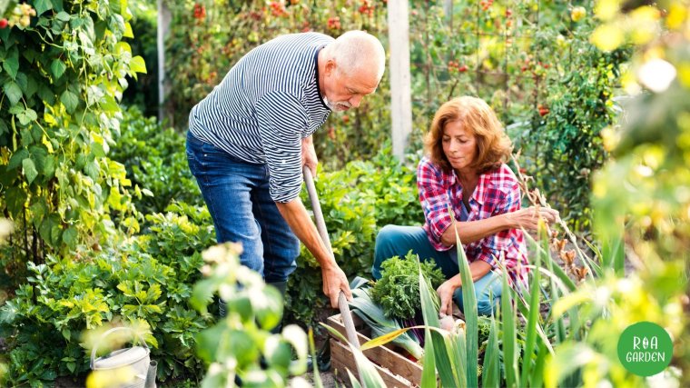 Kertrendezés egész évben? – Ültetési naptár! (x)