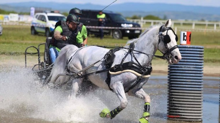 Fogathajtók mérték össze tudásukat a Berkes réten