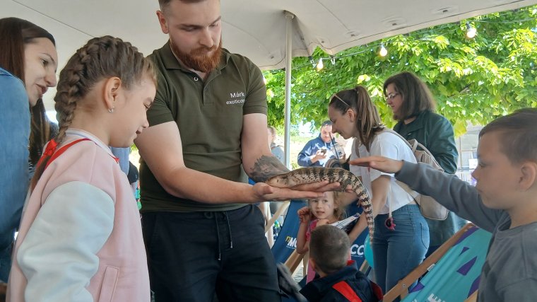 Családi programok a Majálison – Fotók és videók!