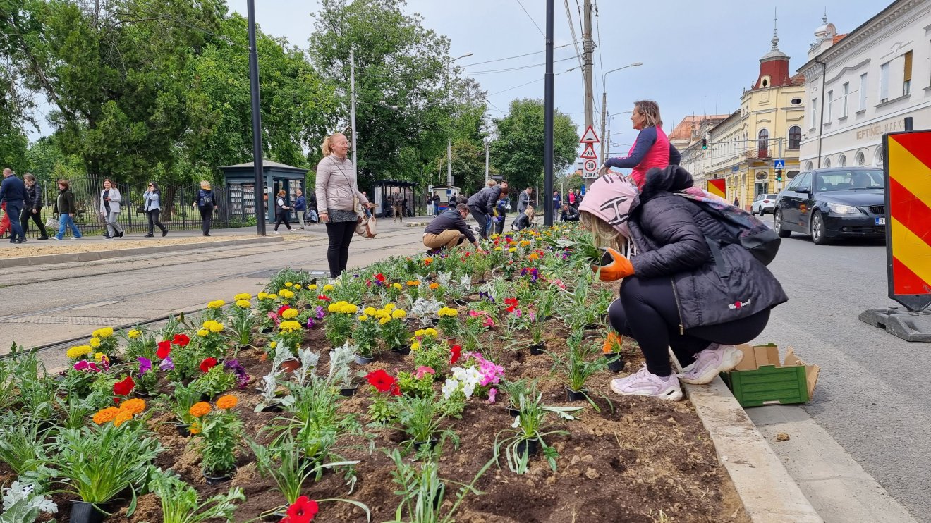 Virágot ültettek a városháza dolgozói