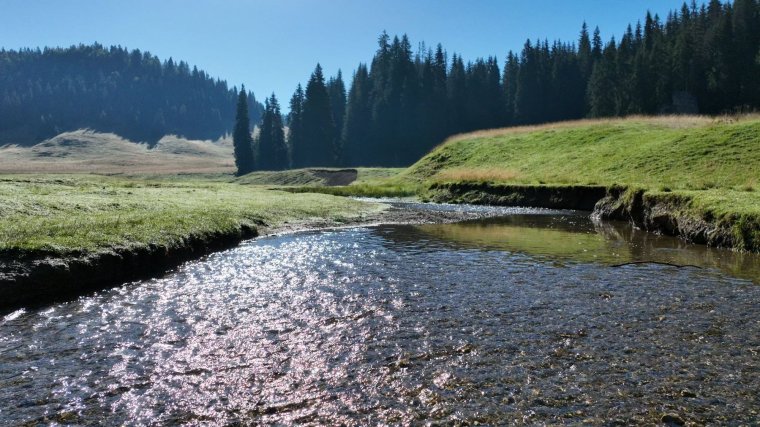 Hegyizene: filmbemutató és közönségtalálkozó Nagyváradon
