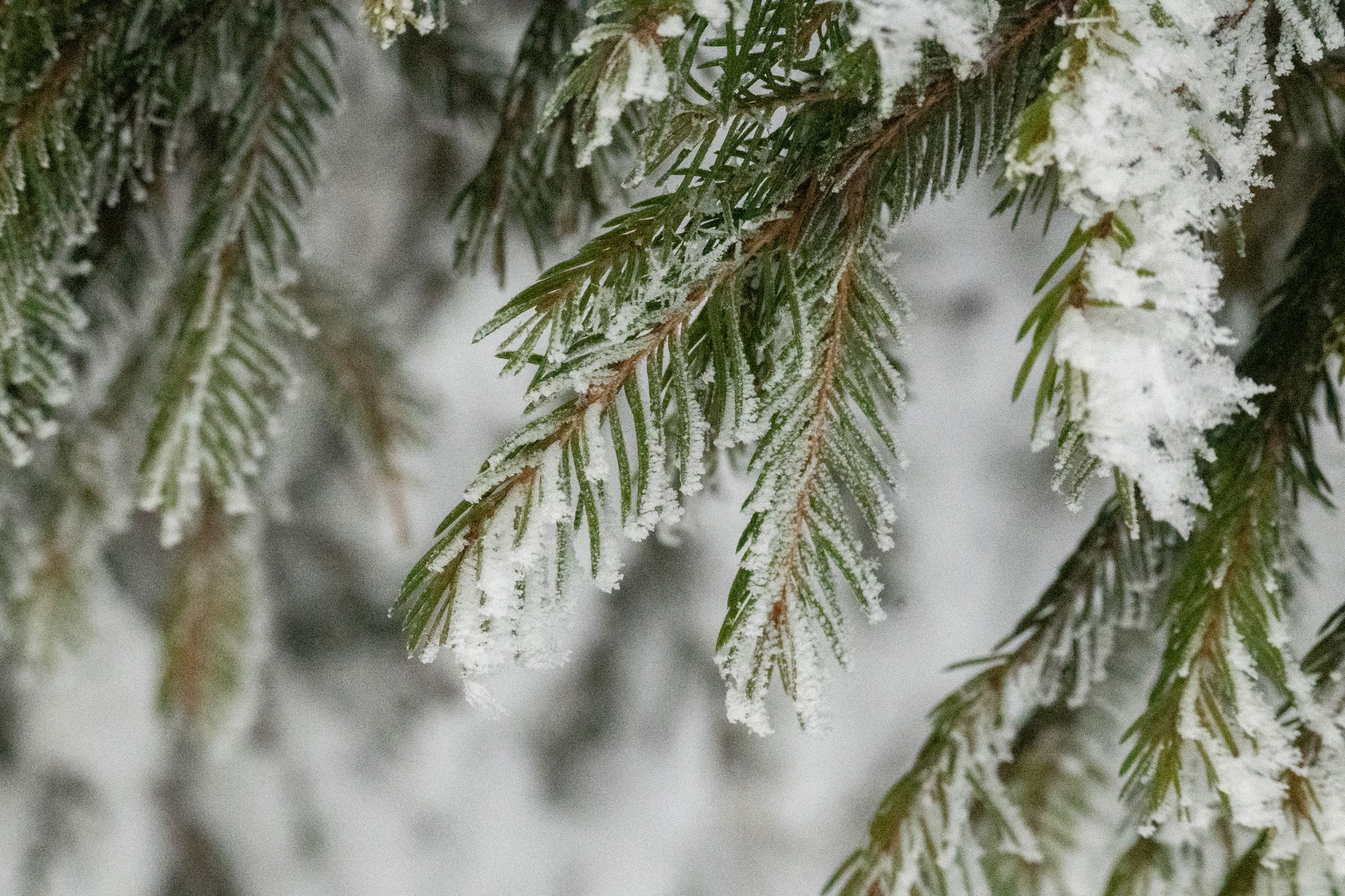 Érkezik a hideg, elsőfokú riasztást adtak ki a fagyos idő miatt