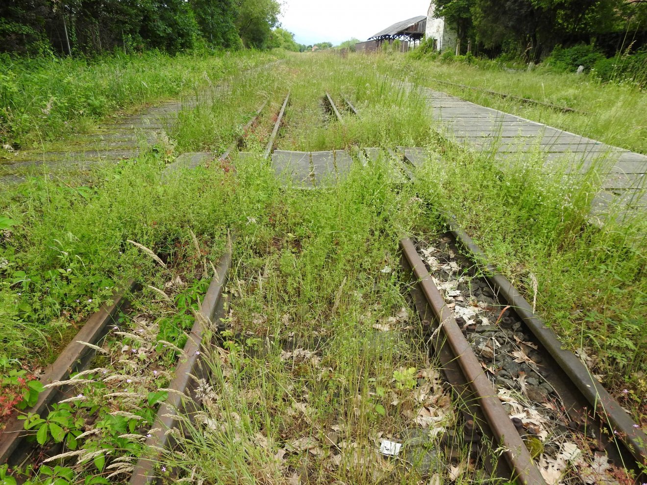 Kerékpárutat építenének a kiszuperált vasúti vágányok helyén