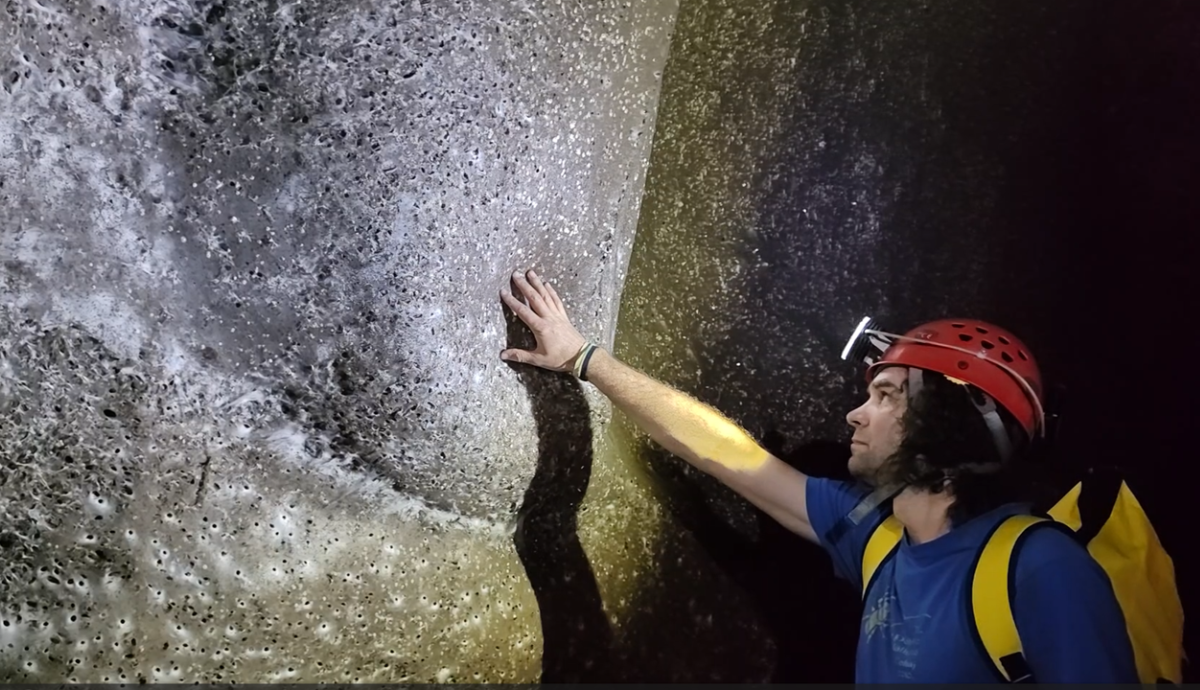 A világ legnagyobb pókhálóját fedezte fel a Sapientia EMTE biológusa vezette kutatócsoport – hírmix