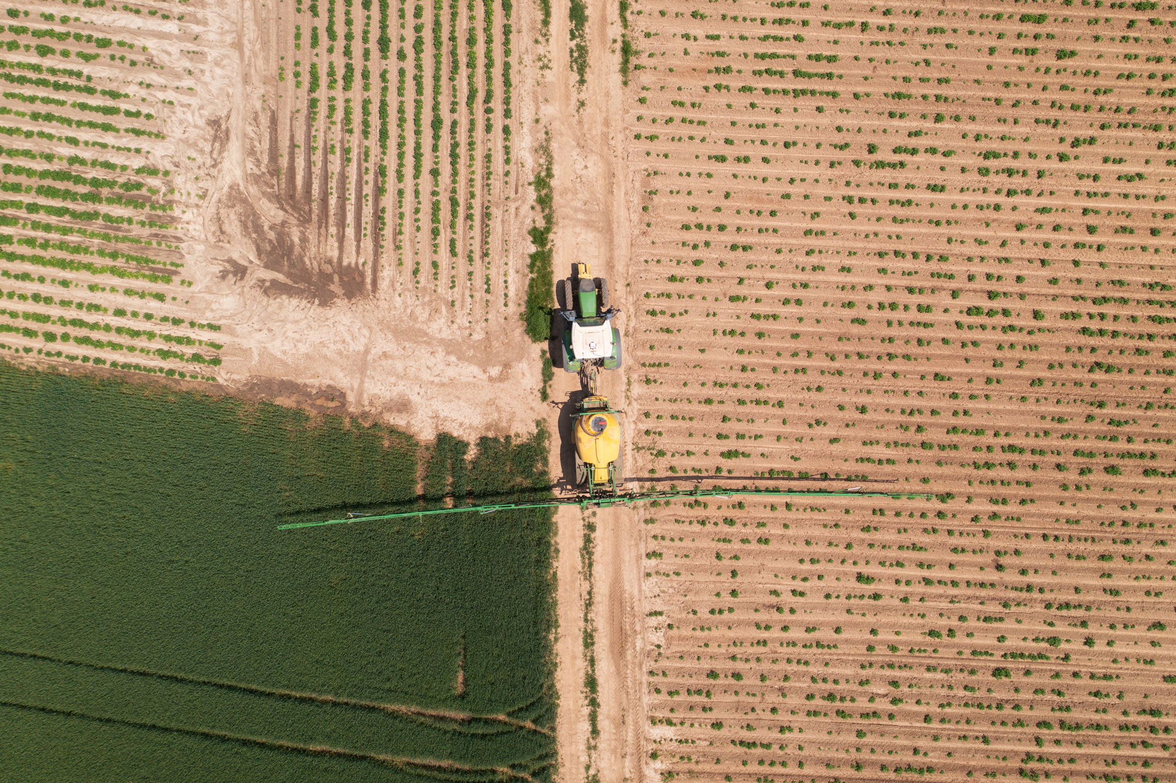 Csökkent a mezőgazdasági termelés és a nagykereskedelmi forgalom is