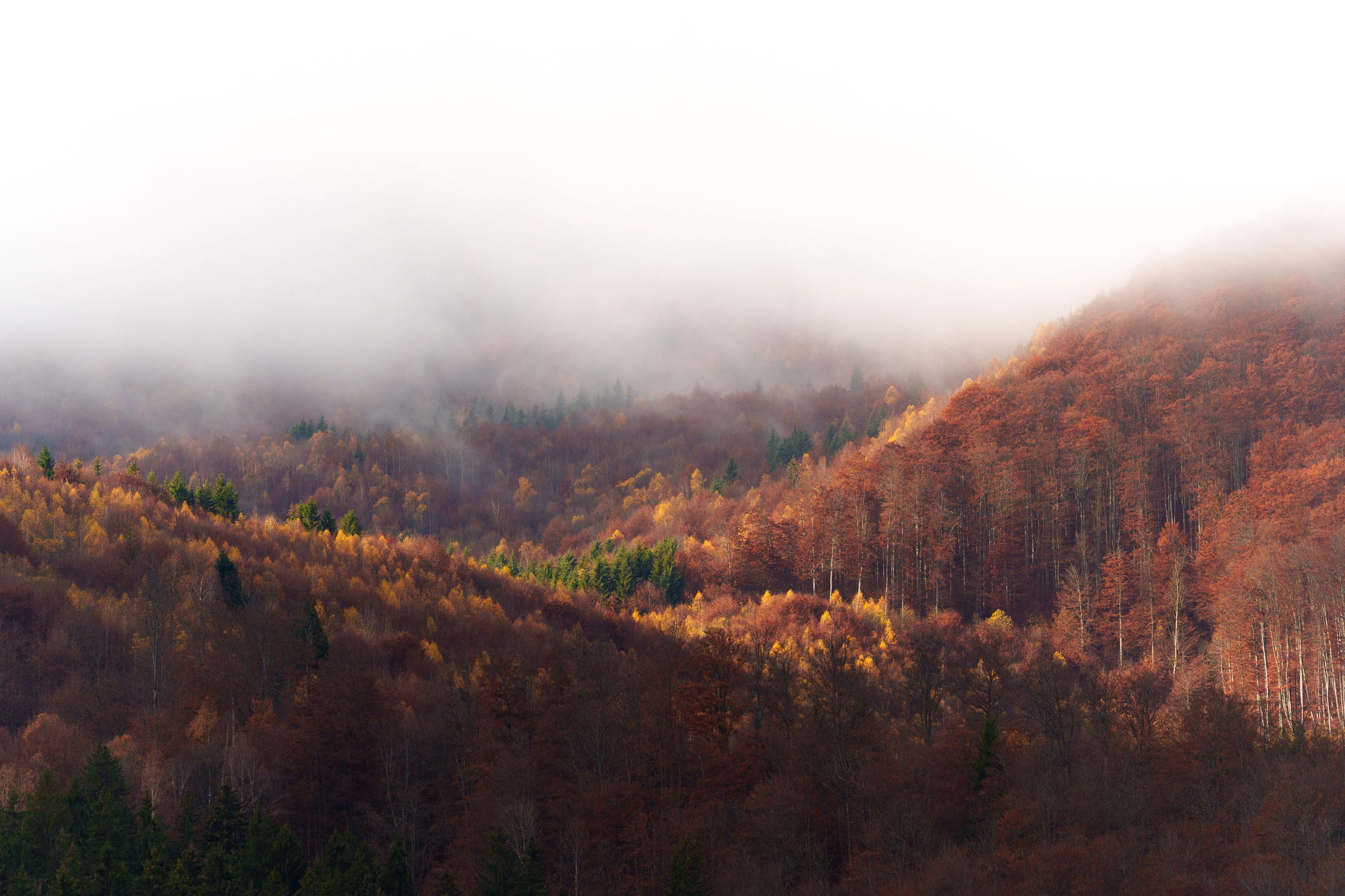 Felmelegedik az idő a következő napokban