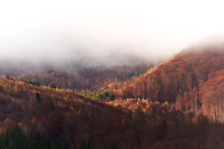 Felmelegedik az idő a következő napokban