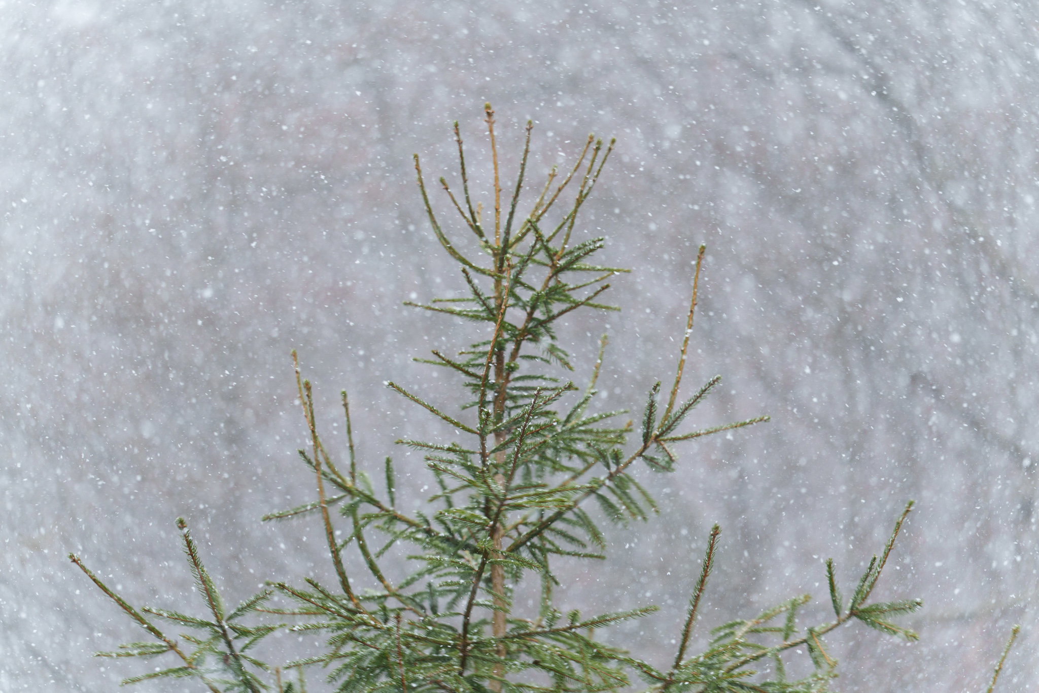 Erős széllel érkezik a lehűlés, havazás is lehet