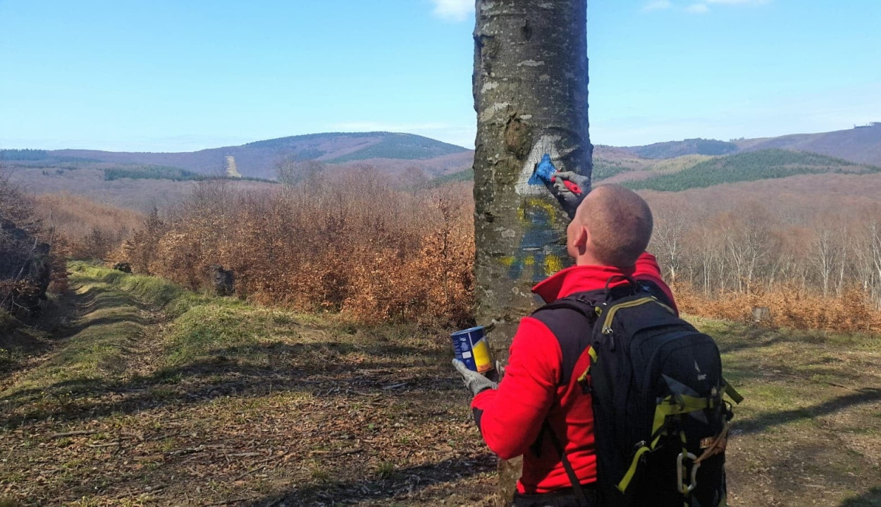 Elővigyázatosságra intenek a hegyimentők – ezekre a dolgokra érdemes figyelni a hosszú hétvégén