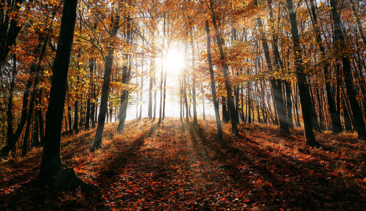 Csíkszeredában volt a leghidegebb az elmúlt éjszaka