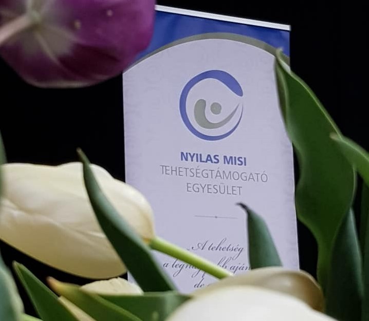 Nyilas Misi ösztöndíj: tehetséges, nehéz helyzetben élő diákok kaphatnak támogatást