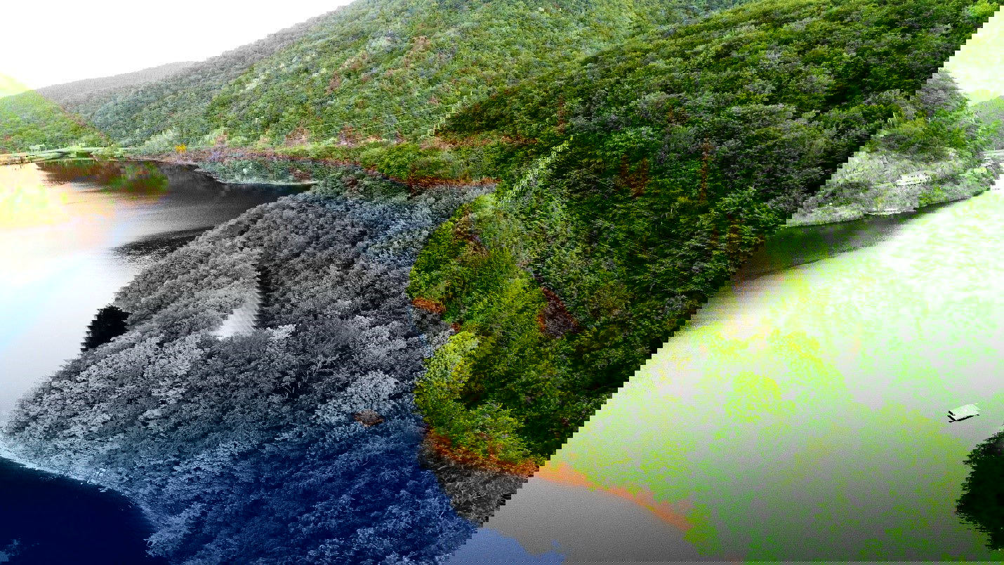 Megölte a feleségét, majd öngyilkos lett egy férfi Kolozs megyében