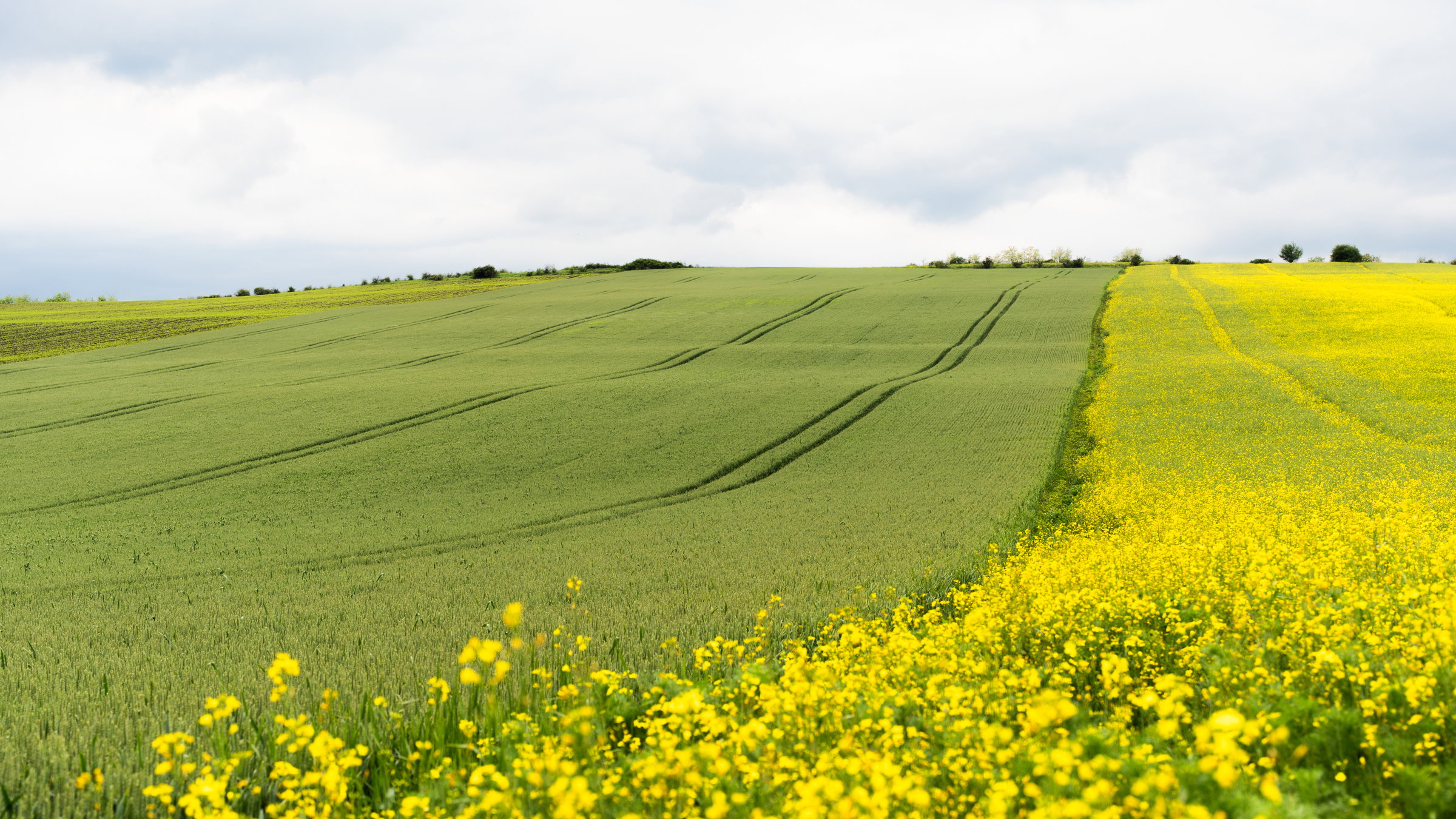 Dráguló inputanyagok, csökkenő nyereség: a túlélésért küzdenek a kisgazdaságok