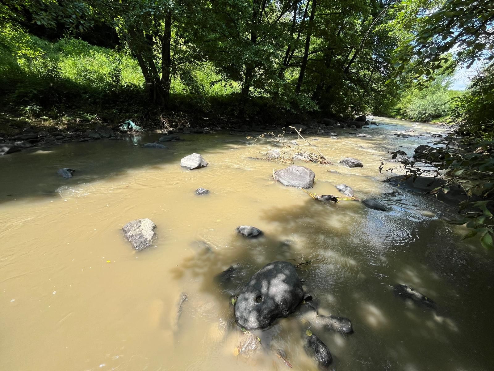 Elutasította a képviselőház a parajdi bányakatasztrófát kivizsgáló parlamenti bizottság létrehozását