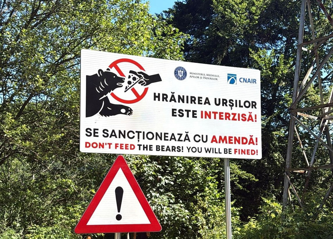 Szígorítani fogják a medveetetésért járó büntetést